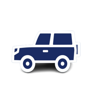 Vector